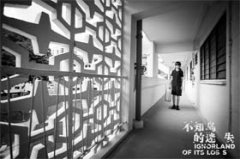 IgnorLAND of its Loss 《不知岛的迷失》