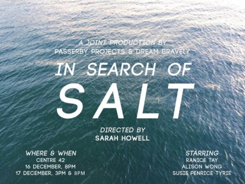 In Search of Salt