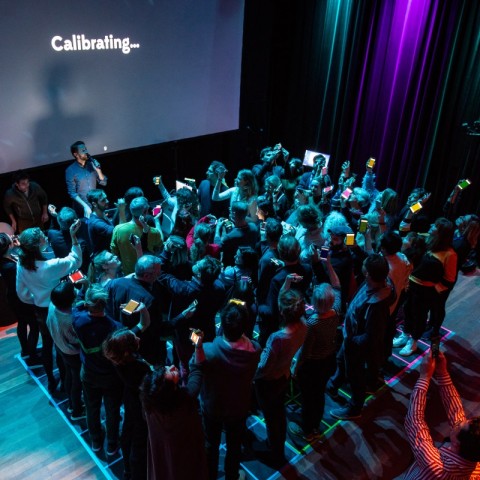 The Social Sorting Experiment 