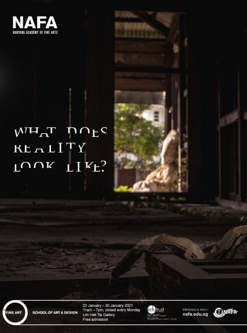 What Does Reality Look Like?