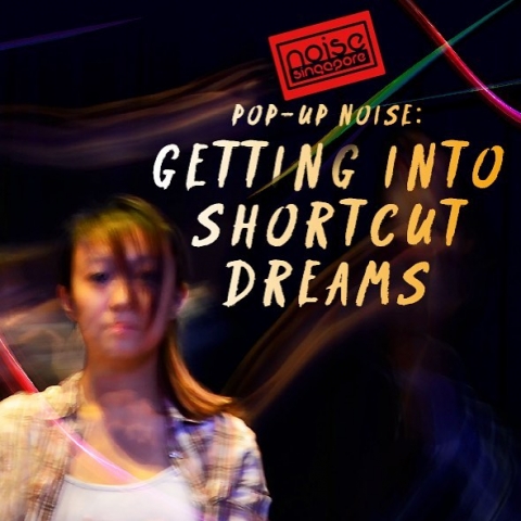 Pop-Up Noise: Getting Inside Shortcut Dreams