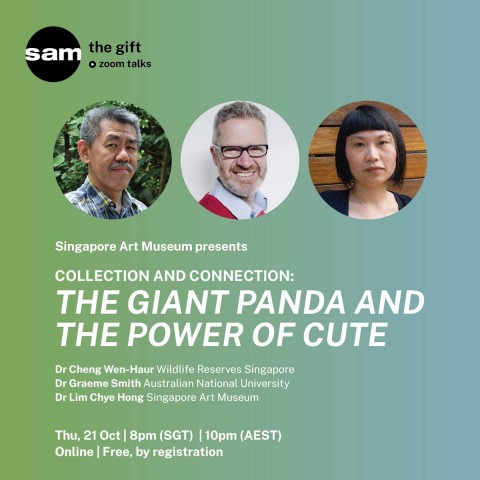 Collection and Connection: The Giant Panda and The Power of Cute