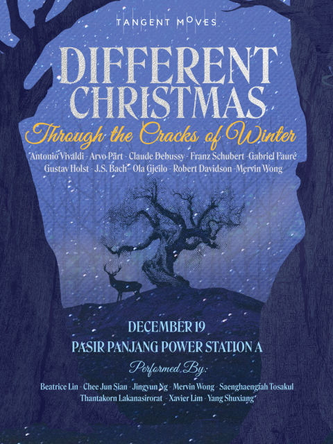 DIFFERENT CHRISTMAS: Through the Cracks of Winter