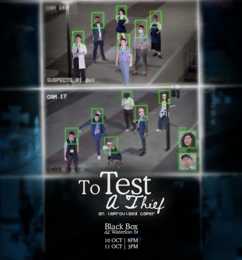 To Test A Thief 