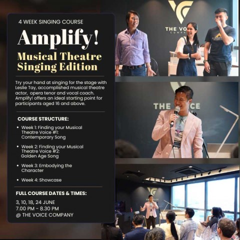Amplify! Intro to Musical Theatre Singing (4 Week Course) | Ages 16 & Above