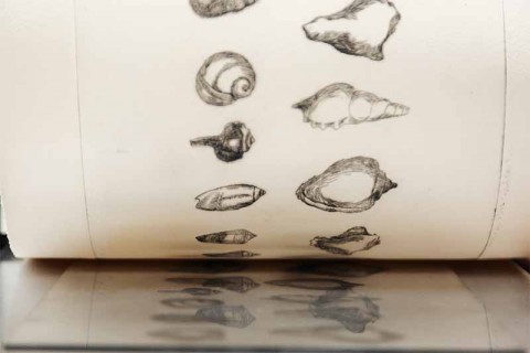 STPI X LKCNHM | Traces of Life (Drypoint Etching Workshop)