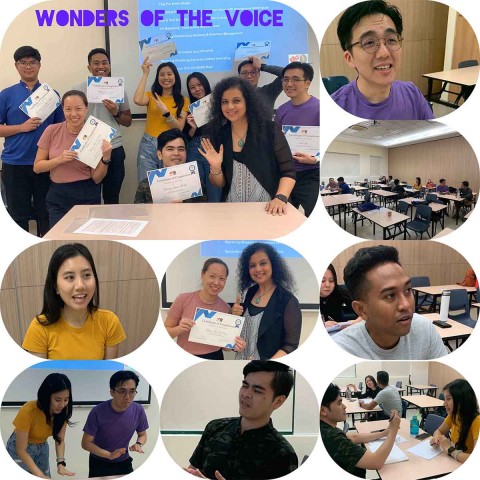Wonders of the Voice - Beginner's Guide