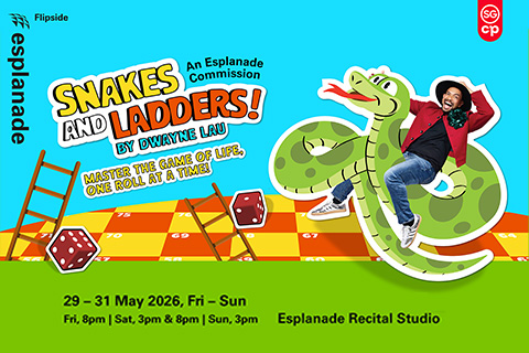 Flipside: Snakes and Ladders!