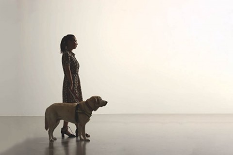 A Place For Us: Conversations on Seeing