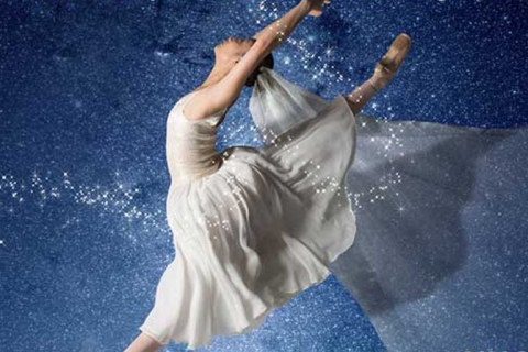 Ballet Under the Stars 
