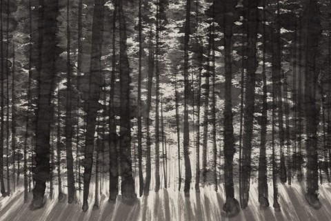 Elegance of Absence at ION Art gallery
