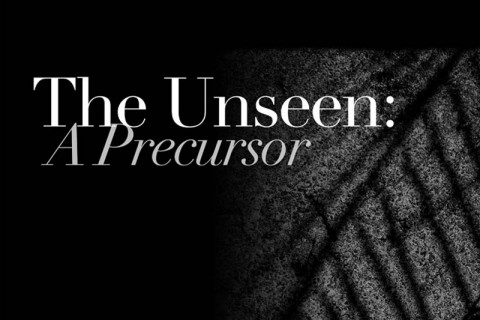 The Unseen: A Precursor