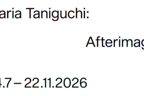 Maria Taniguchi: Afterimage