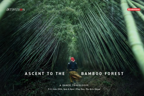 Ascent to the Bamboo Forest – A Dance Travelogue