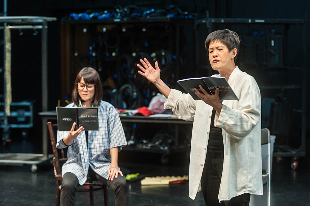 review rant and rave entree into the history of our theatre 2